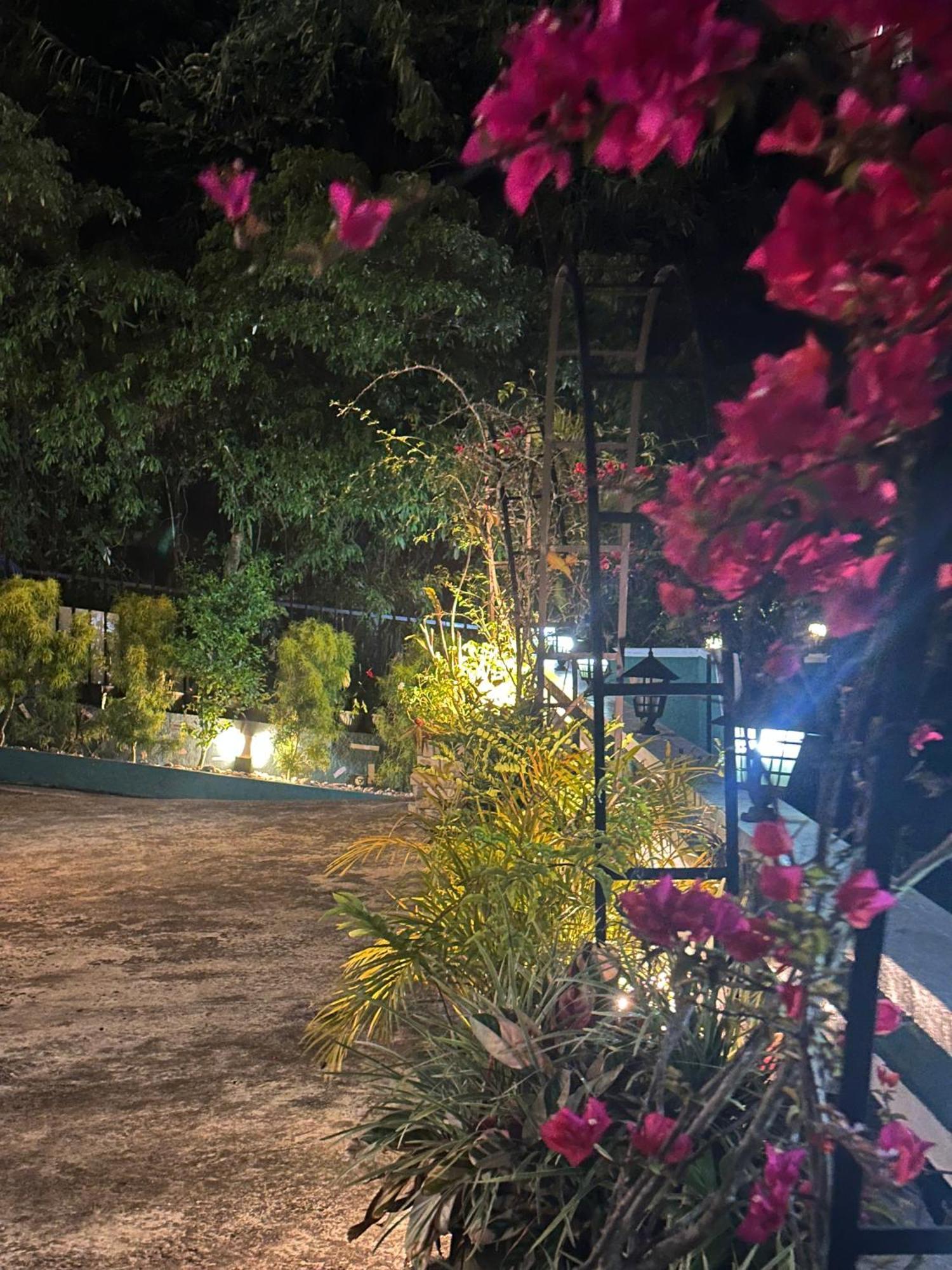 Abc Guest Inn & Restaurant هابيوتيل المظهر الخارجي الصورة